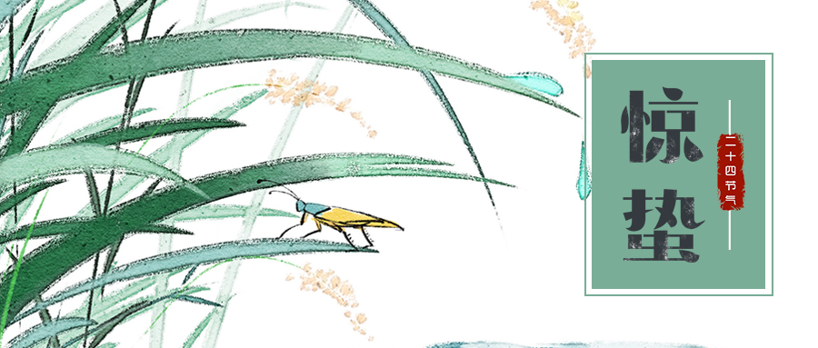 傳統農業的轉變在于打造科技、智能化農業